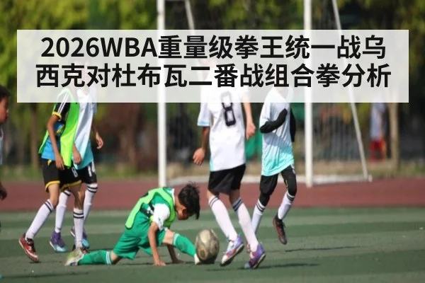2026WBA重量级拳王统一战乌西克对杜布瓦二番战组合拳分析